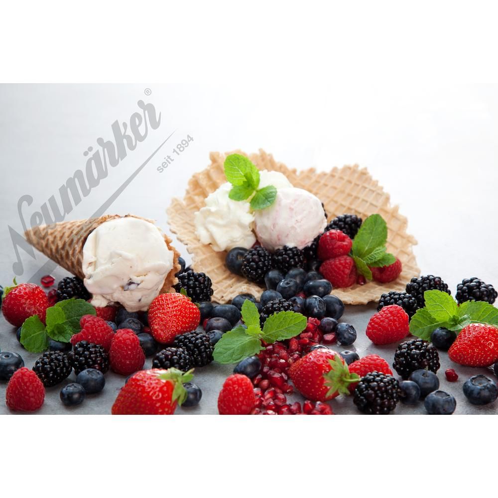 Neumärker Eiswaffel Wechselplatten für Thermocook®