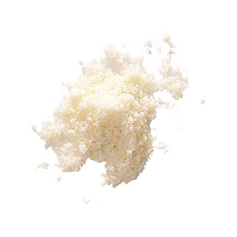Robot-Coupe Reibescheibe Parmesan