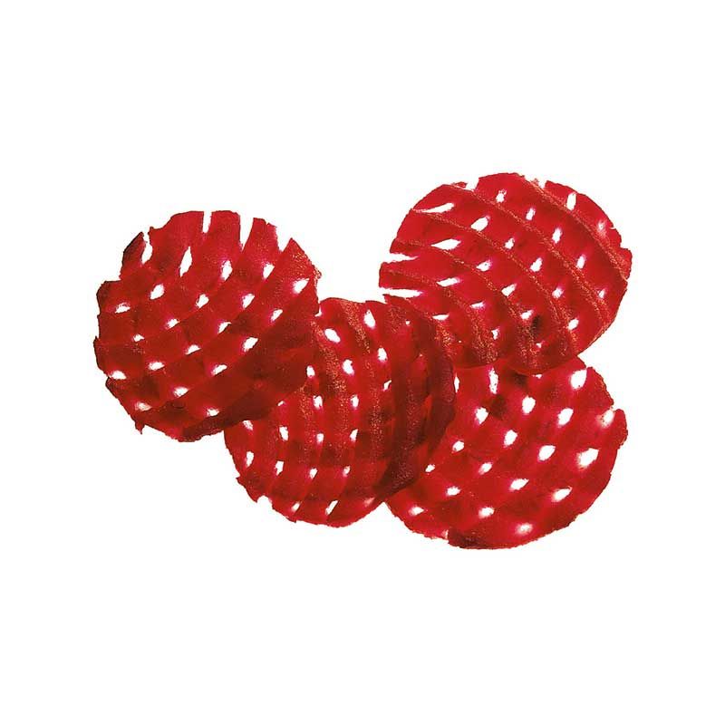 Robot-Coupe Schneidescheibe 2 mm